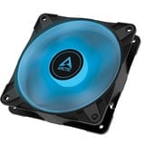 ARCTIC P12 PWM PST RGB 0dB Carcasa del ordenador Ventilador 12 cm Negro, Blanco 1 pieza(s) negro/Transparente, Ventilador, 12 cm, 2000 RPM, 48,8 cfm, 82,91 m³/h, Negro, Blanco