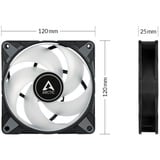 ARCTIC P12 PWM PST RGB 0dB Carcasa del ordenador Ventilador 12 cm Negro, Blanco 1 pieza(s) negro/Transparente, Ventilador, 12 cm, 2000 RPM, 48,8 cfm, 82,91 m³/h, Negro, Blanco