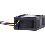 Alphacool 24823 sistema de refrigeración para ordenador Universal Ventilador 4 cm Negro 1 pieza(s) negro, Ventilador, 4 cm, 400 RPM, 10000 RPM, 36 dB, 20,39 m³/h