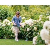 Bosch EasyGrassCut 26 cm Batería Negro, Verde, Cortabordes verde/Negro, Cortabordes, 26 cm, Hilo de nailon, Empuñadura en D, 1,6 m, Negro, Verde