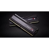 G.Skill F5-8000J3848G16GX2-TZ5RK, Memoria RAM negro