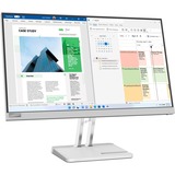 Lenovo L25e-40(H22245FL0), Monitor LED gris