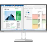 Lenovo L25e-40(H22245FL0), Monitor LED gris