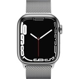 Apple SmartWatch plateado/Plateado