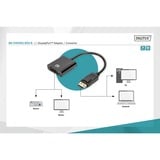 Digitus Adaptador / Convertidor DisplayPort > DVI negro
