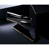 G.Skill F5-6000A2636H16GX2-TZ5NXRN, Memoria RAM negro
