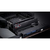G.Skill F5-6000J3244G64GX2-FX5, Memoria RAM negro