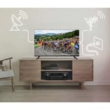 Medion LIFE MD 832003 con reproductor de DVD, Televisor LED negro