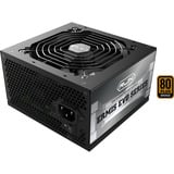 RAIJINTEK 0R30B00009, Fuente de alimentación de PC negro