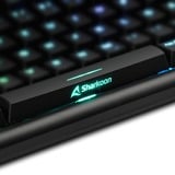 Sharkoon SKILLER SGK30 teclado USB QWERTY Español Negro, Teclado para gaming negro, Estándar, USB, Interruptor mecánico, QWERTY, LED RGB, Negro
