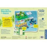 KOSMOS 632083 juguete y kit de ciencia para niños, Caja de experimentos Kit de experimentos, Botánica, 5 año(s), Multicolor