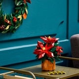 LEGO Botanicals Flor de Pascua, Juegos de construcción Juego de construcción, 18 año(s), Plástico, 608 pieza(s), 640 g