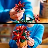 LEGO Botanicals Flor de Pascua, Juegos de construcción Juego de construcción, 18 año(s), Plástico, 608 pieza(s), 640 g