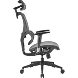 Sharkoon OfficePal C30M, Silla gris