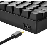 Sharkoon SGK50 S4 teclado USB QWERTY Italiano Negro, Teclado para gaming negro, 60%, USB, QWERTY, LED RGB, Negro