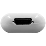 Shelly La pastilla, Módulo de extensión blanco