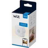 WiZ WIZ-BUNDLE-003, Luz de LED negro