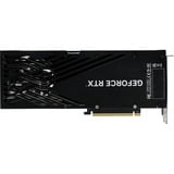 Gainward NE75070019K9-GB2050T, Tarjeta gráfica 