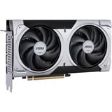 MSI V535-005R, Tarjeta gráfica 