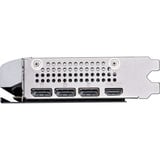 MSI V535-005R, Tarjeta gráfica 