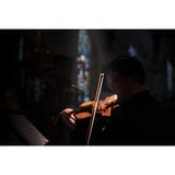 Rode Microphones TF-5, Micrófono negro/Dorado