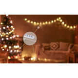 Shelly BUSHWB1, Conjunto 