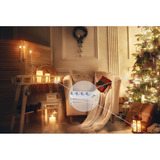 Shelly BUSHWB1, Conjunto 