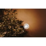 Shelly Paquete navideño 1, Conjunto 