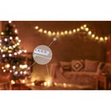 Shelly Paquete navideño 1, Conjunto 