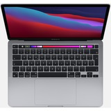 Apple Portátil gris