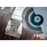 Bosch 2 608 900 662 accesorio para amoladora angular Corte del disco, Hoja Corte del disco, Ladrillo, Concreto, 18 cm, Bosch, 2,22 cm, 2,4 mm