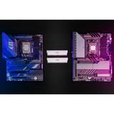Crucial CP2K32G64C40U5W, Memoria RAM blanco