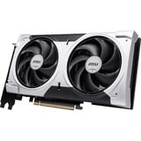MSI V536-001R, Tarjeta gráfica 