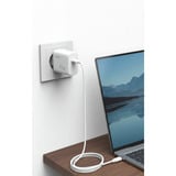 Ansmann Home Charger HC165PD / 4,5 A / 65 W / 1 puerto, Cargador blanco