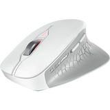 CHERRY JW-8550-0 ratón Universal mano derecha RF inalámbrico Óptico 4000 DPI blanco, mano derecha, Óptico, RF inalámbrico, 4000 DPI, Gris, Blanco