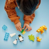 LEGO 10442, Juegos de construcción 
