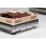 Noctua Kühler NH-L9i 17xx Procesador Enfriador 9,2 cm Beige, Marrón 1 pieza(s), Disipador de CPU Enfriador, 9,2 cm, 600 RPM, 2500 RPM, 23,6 dB, 57,5 m³/h