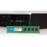 Crucial 8GB PC3-12800 módulo de memoria 1 x 8 GB DDR3 1600 MHz, Memoria RAM 8 GB, 1 x 8 GB, DDR3, 1600 MHz, 240-pin DIMM, Lite Retail
