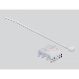 DeLOCK Adaptador de carril DIN con módulo Keystone RJ-45 > Cat.6a LSA gris
