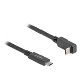 DeLOCK Cable USB 3.2 Gen 2, conector USB-C > conector USB-C negro
