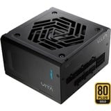 FSP VITA GM 650W, Fuente de alimentación de PC 