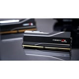 G.Skill F5-6000J2636H48GX2-TZ5NR, Memoria RAM 