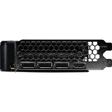 Palit GeForce RTX 5050 Dual OC 8GB, Tarjeta gráfica 
