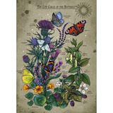 Ravensburger 12001435, Puzzle 