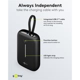 goobay 76251, Banco de potencia negro