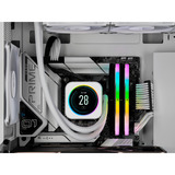 Corsair CMH32GX5M2D6000Z38W, Memoria RAM blanco