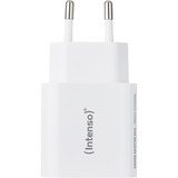 Intenso Adaptador de corriente W5A, Cargador blanco