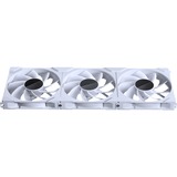 Phanteks M25G2-140 D-RGB Reverse, Ventilador blanco
