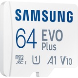 SAMSUNG EVO Plus 64 GB microSDXC (2024), Tarjeta de memoria blanco