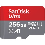 SanDisk Ultra memoria flash 256 GB MicroSDXC Clase 10, Tarjeta de memoria 256 GB, MicroSDXC, Clase 10, 120 MB/s, Class 1 (U1), Gris, Rojo
